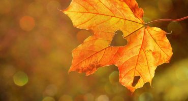 Why Autumn for Skin Peels?